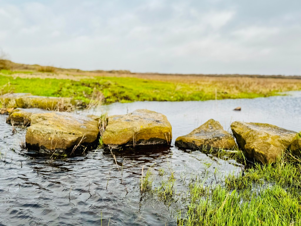 Op eigen benen&nbsp;staan